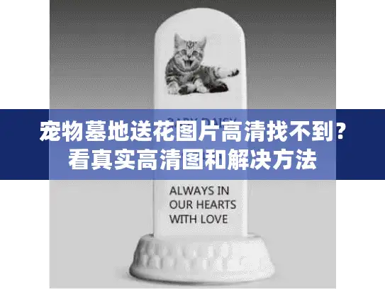 宠物墓地送花图片高清找不到？看真实高清图和解决方法
