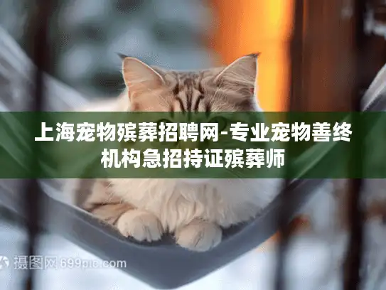 上海宠物殡葬招聘网-专业宠物善终机构急招持证殡葬师