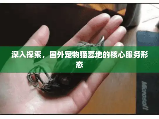 深入探索，国外宠物猫墓地的核心服务形态