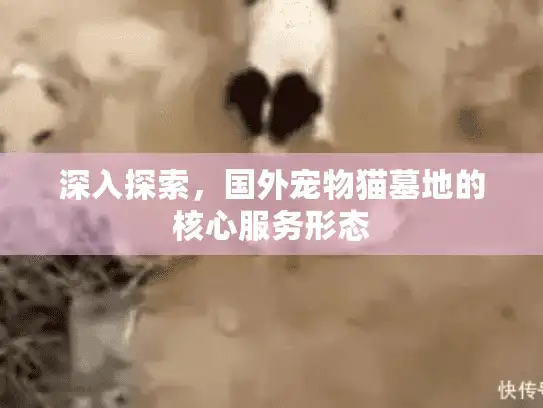 深入探索，国外宠物猫墓地的核心服务形态