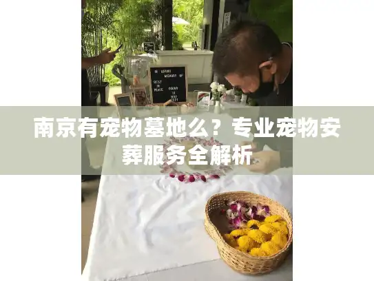 南京有宠物墓地么？专业宠物安葬服务全解析