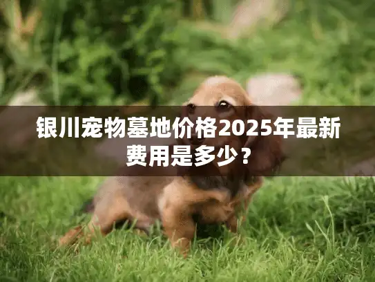 银川宠物墓地价格2025年最新费用是多少？