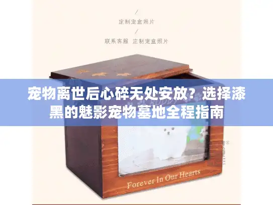 宠物离世后心碎无处安放？选择漆黑的魅影宠物墓地全程指南