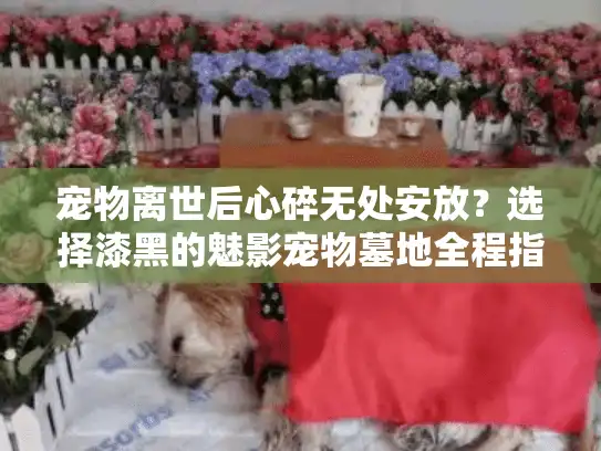宠物离世后心碎无处安放？选择漆黑的魅影宠物墓地全程指南