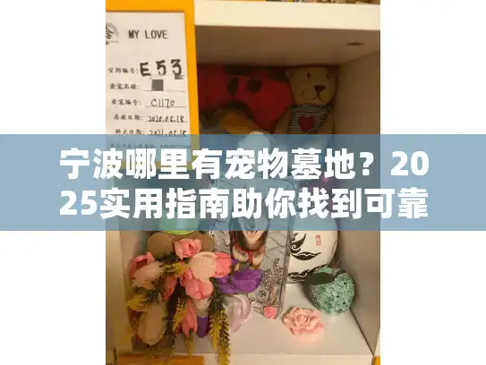 宁波哪里有宠物墓地？2025实用指南助你找到可靠宠物殡葬服务