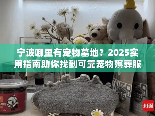 宁波哪里有宠物墓地？2025实用指南助你找到可靠宠物殡葬服务