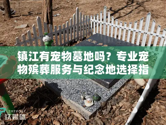 镇江有宠物墓地吗？专业宠物殡葬服务与纪念地选择指南