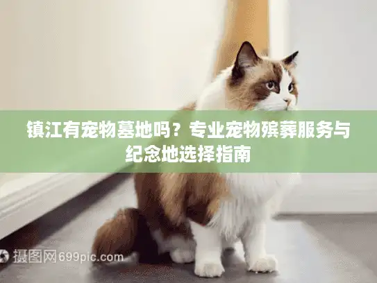 镇江有宠物墓地吗？专业宠物殡葬服务与纪念地选择指南