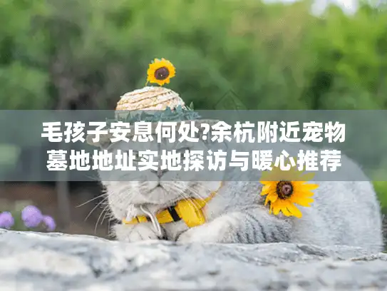 毛孩子安息何处?余杭附近宠物墓地地址实地探访与暖心推荐