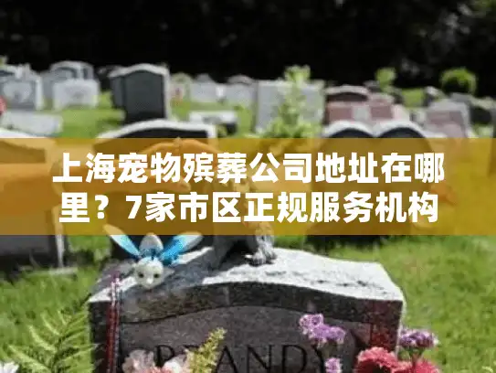 上海宠物殡葬公司地址在哪里？7家市区正规服务机构清单