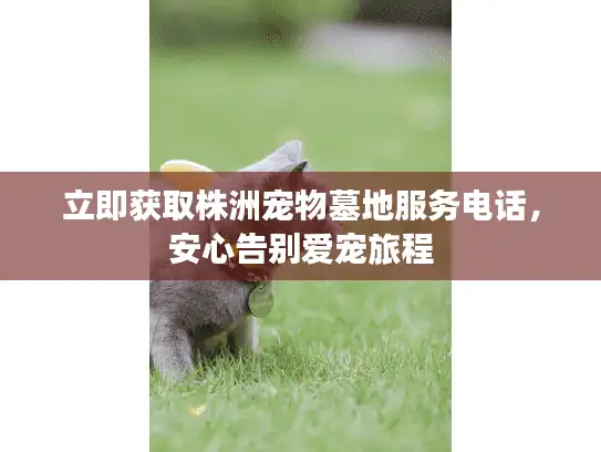 立即获取株洲宠物墓地服务电话，安心告别爱宠旅程