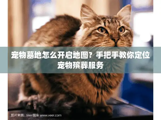 宠物墓地怎么开启地图？手把手教你定位宠物殡葬服务