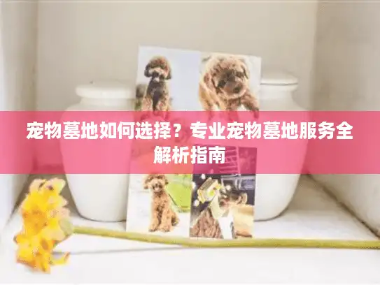 宠物墓地如何选择？专业宠物墓地服务全解析指南