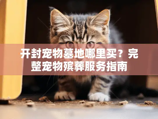 开封宠物墓地哪里买？完整宠物殡葬服务指南