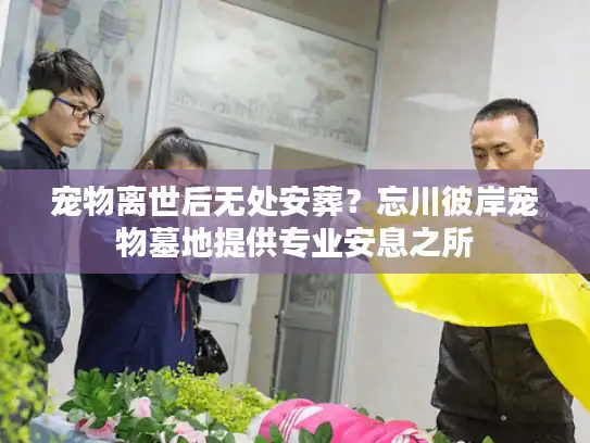 宠物离世后无处安葬？忘川彼岸宠物墓地提供专业安息之所