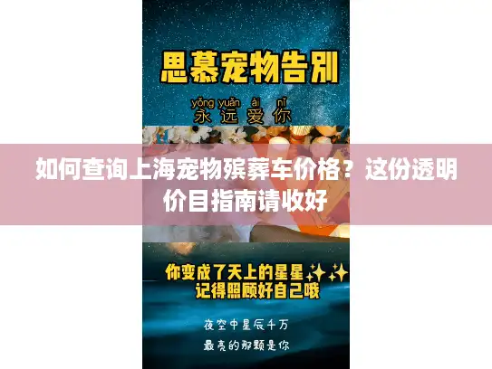 如何查询上海宠物殡葬车价格？这份透明价目指南请收好