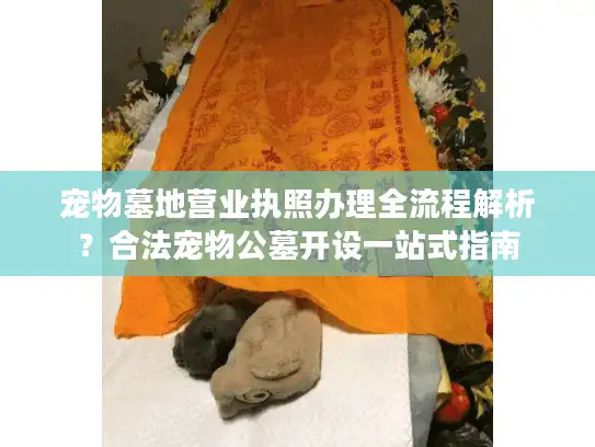 宠物墓地营业执照办理全流程解析？合法宠物公墓开设一站式指南