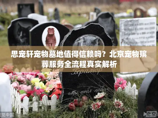 思宠轩宠物墓地值得信赖吗？北京宠物殡葬服务全流程真实解析
