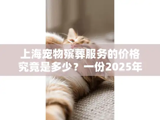 上海宠物殡葬服务的价格究竟是多少？一份2025年的透明清单