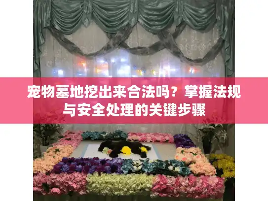 宠物墓地挖出来合法吗？掌握法规与安全处理的关键步骤