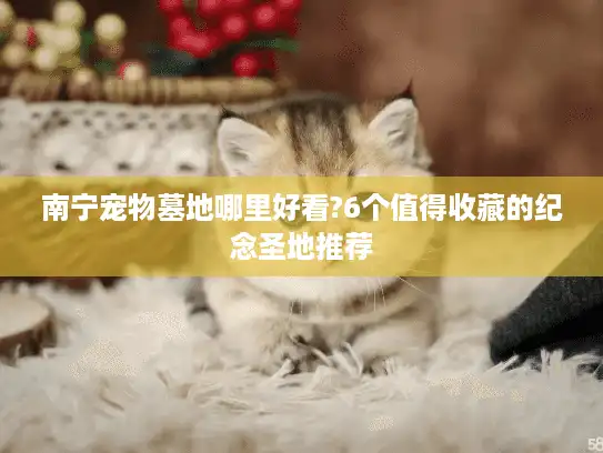南宁宠物墓地哪里好看?6个值得收藏的纪念圣地推荐