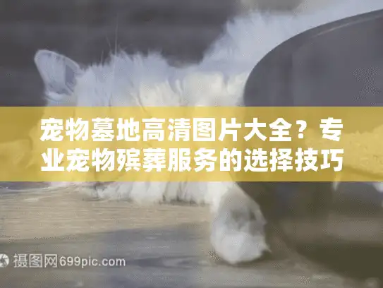 宠物墓地高清图片大全？专业宠物殡葬服务的选择技巧和安心指南