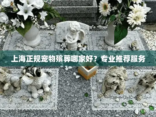 上海正规宠物殡葬哪家好？专业推荐服务