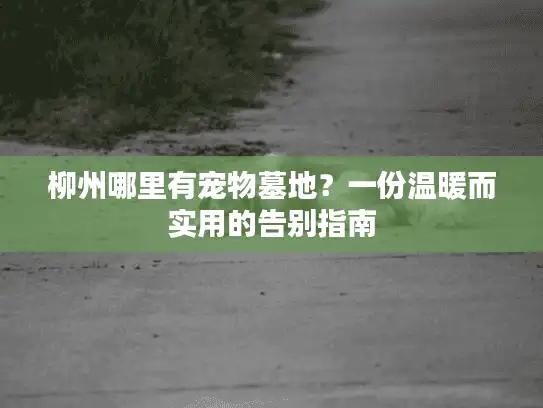 柳州哪里有宠物墓地？一份温暖而实用的告别指南