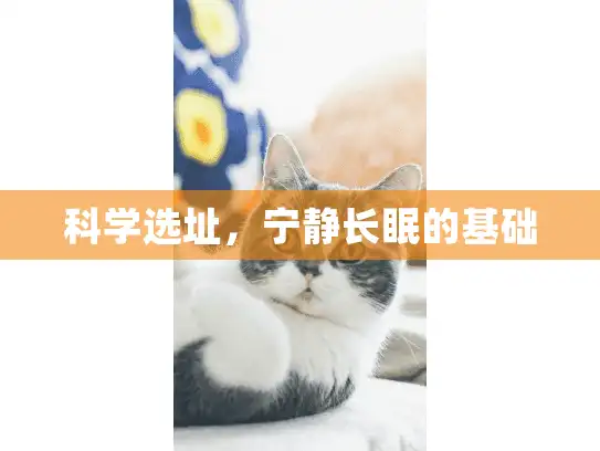 科学选址，宁静长眠的基础