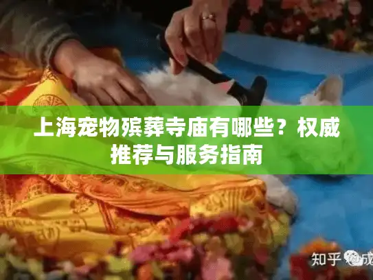 上海宠物殡葬寺庙有哪些？权威推荐与服务指南