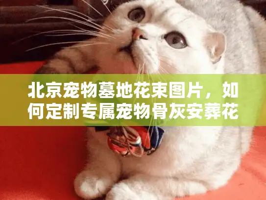 北京宠物墓地花束图片，如何定制专属宠物骨灰安葬花束？