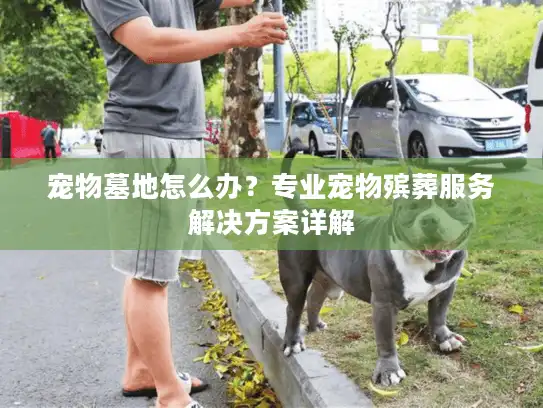 宠物墓地怎么办？专业宠物殡葬服务解决方案详解