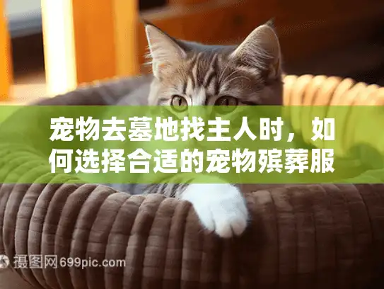 宠物去墓地找主人时，如何选择合适的宠物殡葬服务？