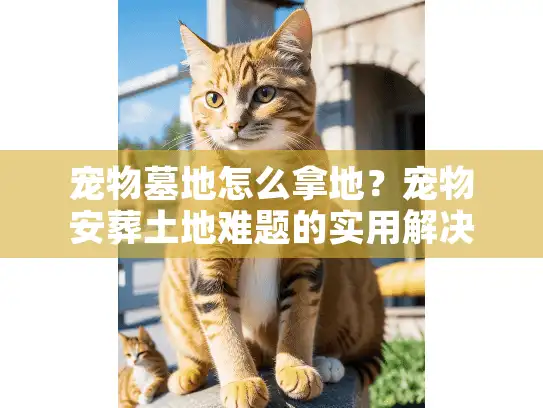 宠物墓地怎么拿地？宠物安葬土地难题的实用解决方案指南