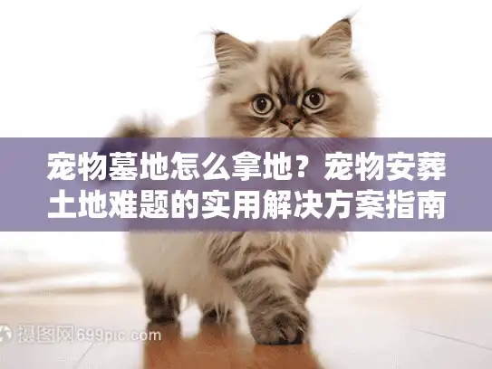 宠物墓地怎么拿地？宠物安葬土地难题的实用解决方案指南