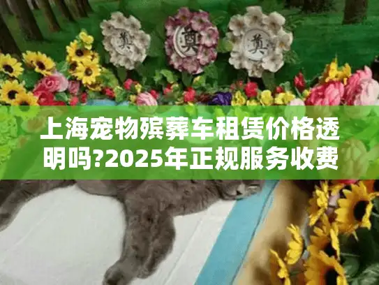 上海宠物殡葬车租赁价格透明吗?2025年正规服务收费区间解析