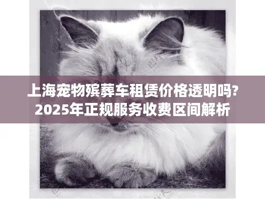 上海宠物殡葬车租赁价格透明吗?2025年正规服务收费区间解析