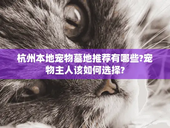 杭州本地宠物墓地推荐有哪些?宠物主人该如何选择?