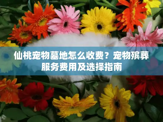 仙桃宠物墓地怎么收费？宠物殡葬服务费用及选择指南