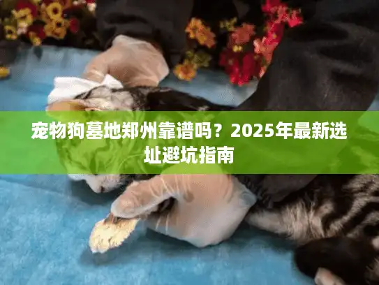 宠物狗墓地郑州靠谱吗？2025年最新选址避坑指南