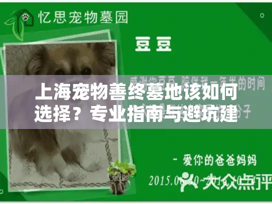上海宠物善终墓地该如何选择？专业指南与避坑建议
