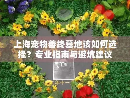 上海宠物善终墓地该如何选择？专业指南与避坑建议