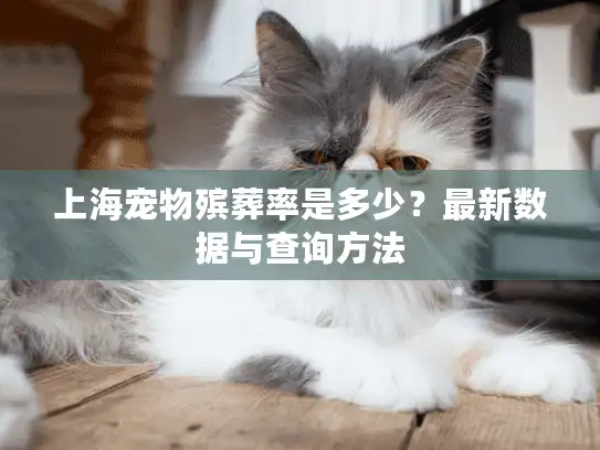 上海宠物殡葬率是多少？最新数据与查询方法
