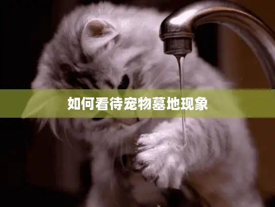 如何看待宠物墓地现象