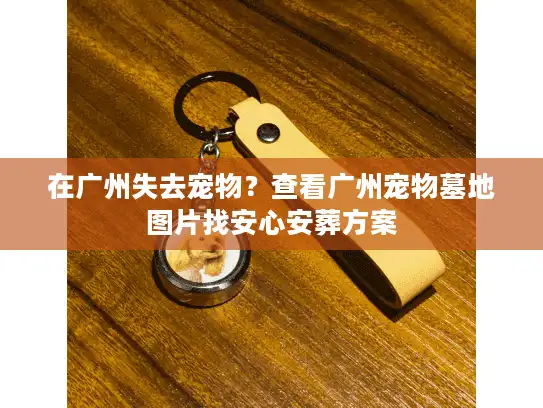在广州失去宠物？查看广州宠物墓地图片找安心安葬方案