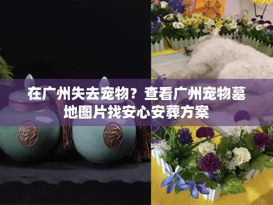 在广州失去宠物？查看广州宠物墓地图片找安心安葬方案