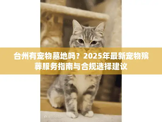 台州有宠物墓地吗？2025年最新宠物殡葬服务指南与合规选择建议