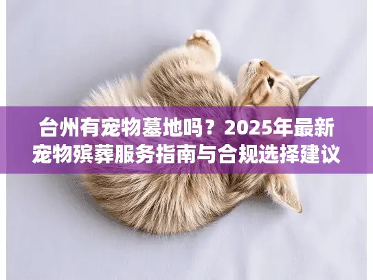 台州有宠物墓地吗？2025年最新宠物殡葬服务指南与合规选择建议