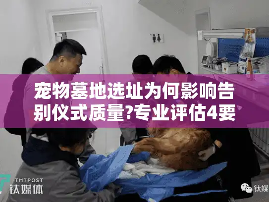 宠物墓地选址为何影响告别仪式质量?专业评估4要素