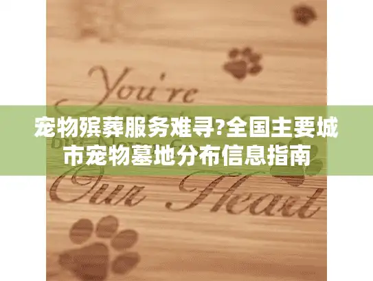 宠物殡葬服务难寻?全国主要城市宠物墓地分布信息指南